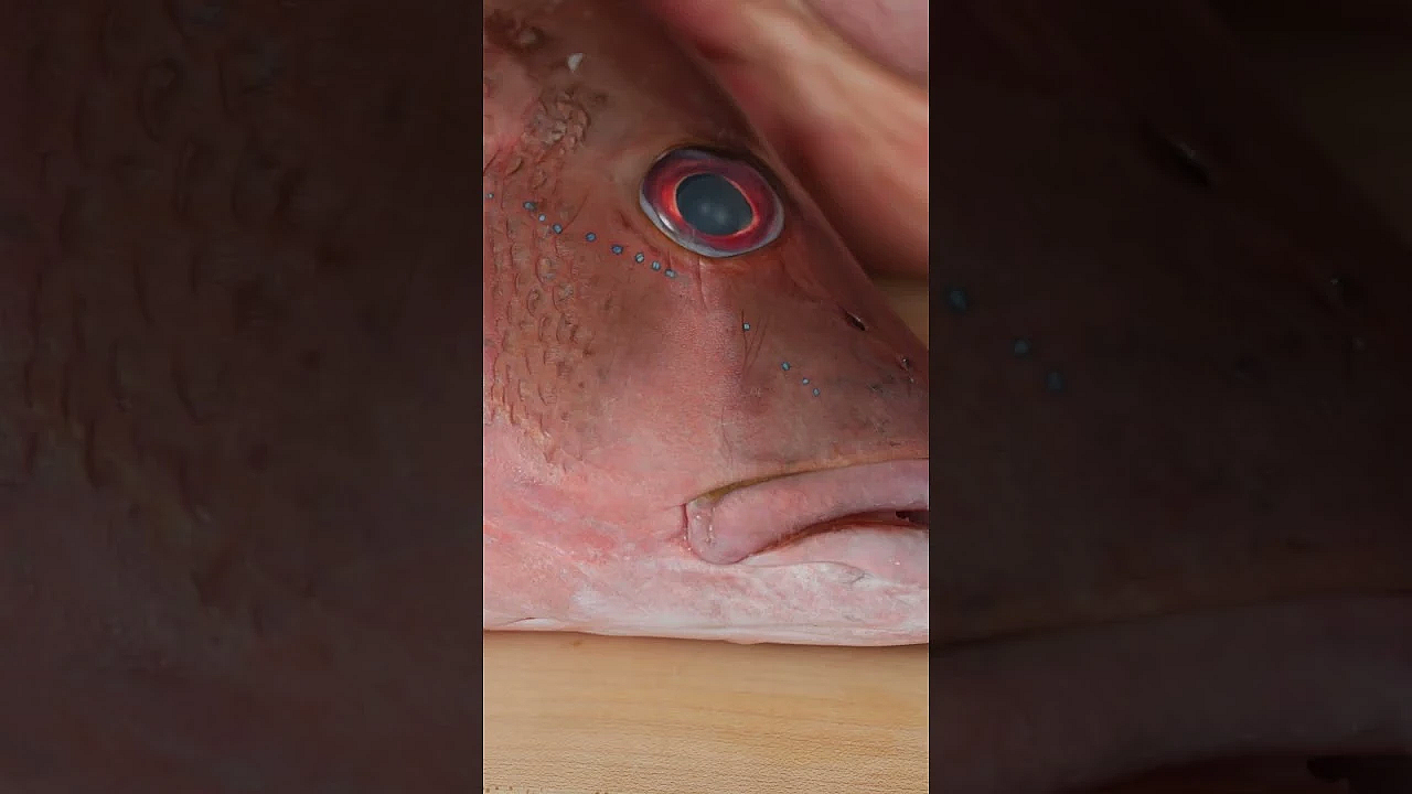 A Mouth-watering Recipe From A Badass Episode On The Waters Of South Louisiana. Season 13 Is Live.