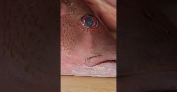 A Mouth-watering Recipe From A Badass Episode On The Waters Of South Louisiana. Season 13 Is Live.