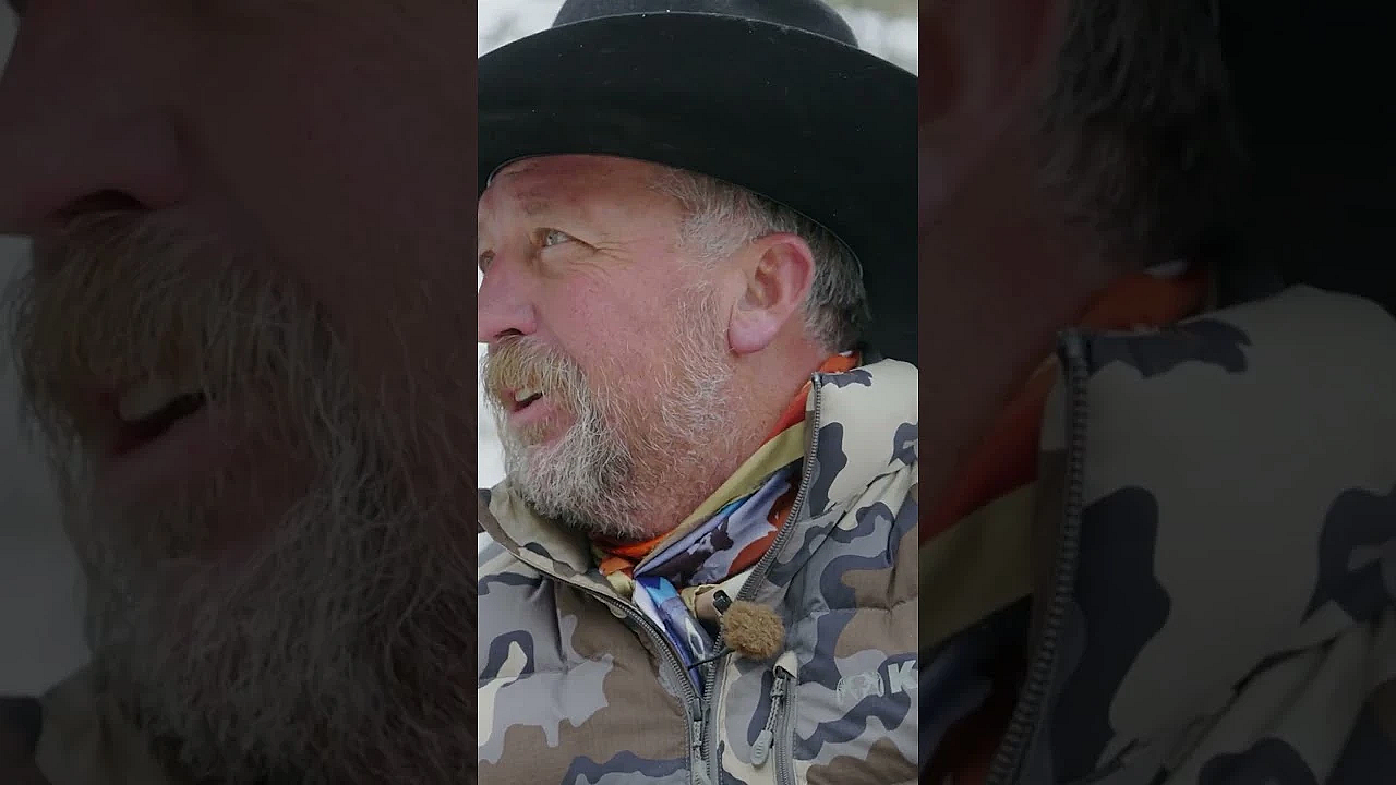 Will Utah's Lion Regulations Really Have An Effect On The Mule Deer Population?