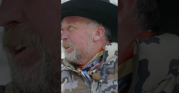 Will Utah's Lion Regulations Really Have An Effect On The Mule Deer Population?