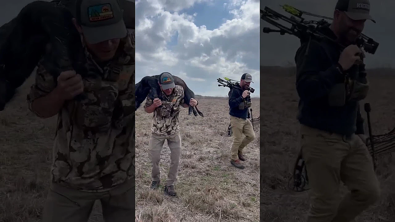 Steve Hammering His Ass Of With The One And Only Cam Hanes. Did You Catch Rogan’s Latest Podcast?