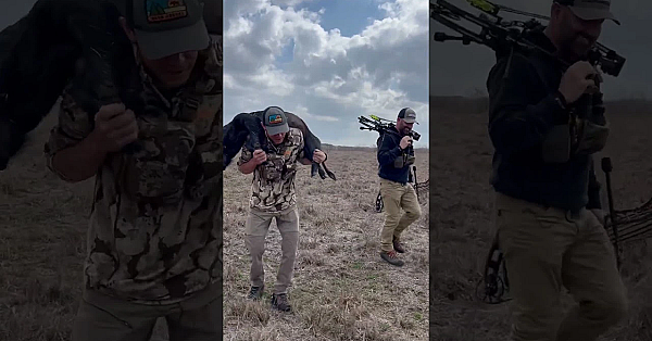 Steve Hammering His Ass Of With The One And Only Cam Hanes. Did You Catch Rogan’s Latest Podcast?