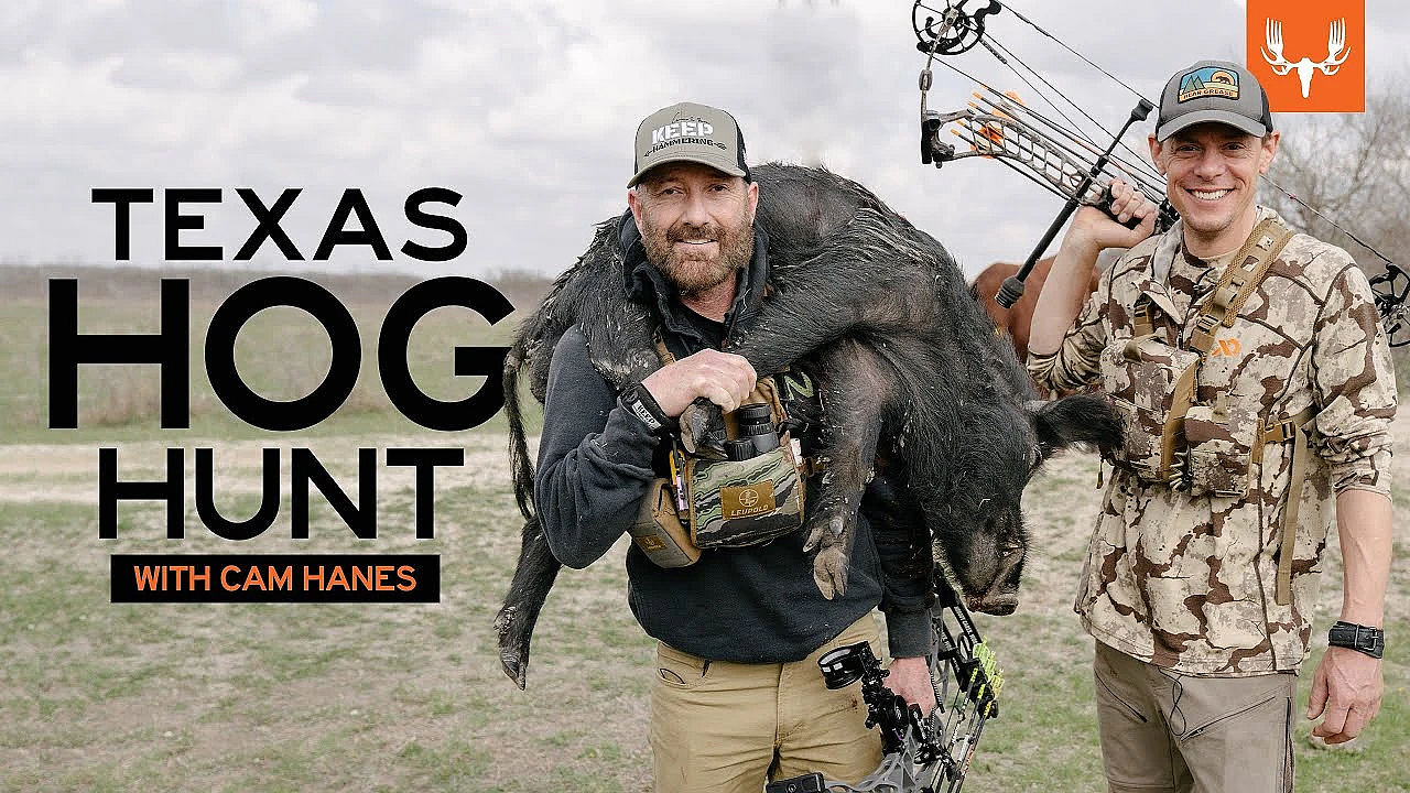 Steve And Cam Hanes Hunt Wild Pigs