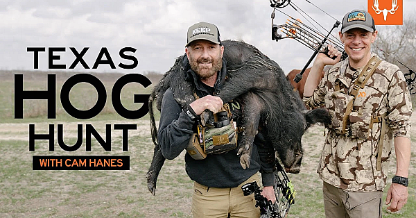 Steve And Cam Hanes Hunt Wild Pigs