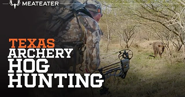 Texas Archery Hog
