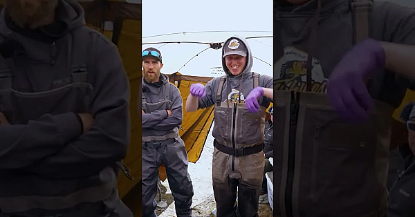 You Do Stitches Better Than Most Doctors