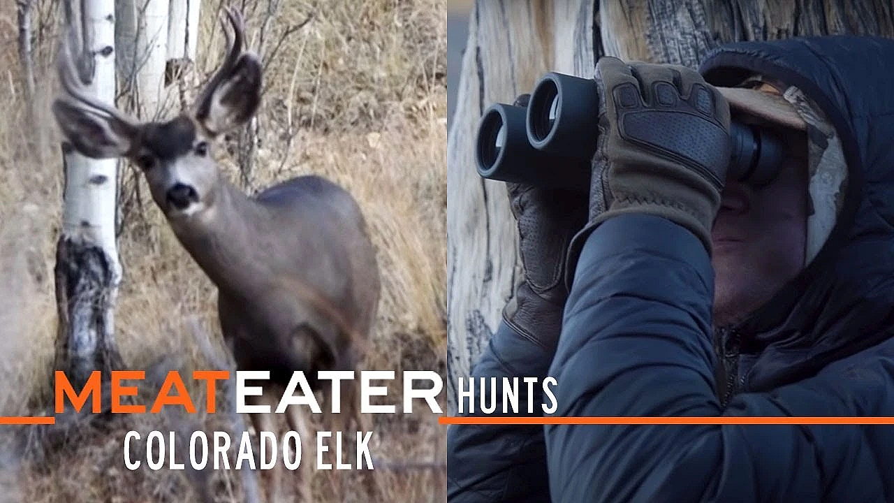 Meateater Hunts Ep. 2: Colorado Elk With Meateater Producer Janis Putelis