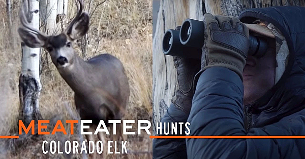 Meateater Hunts Ep. 2: Colorado Elk With Meateater Producer Janis Putelis