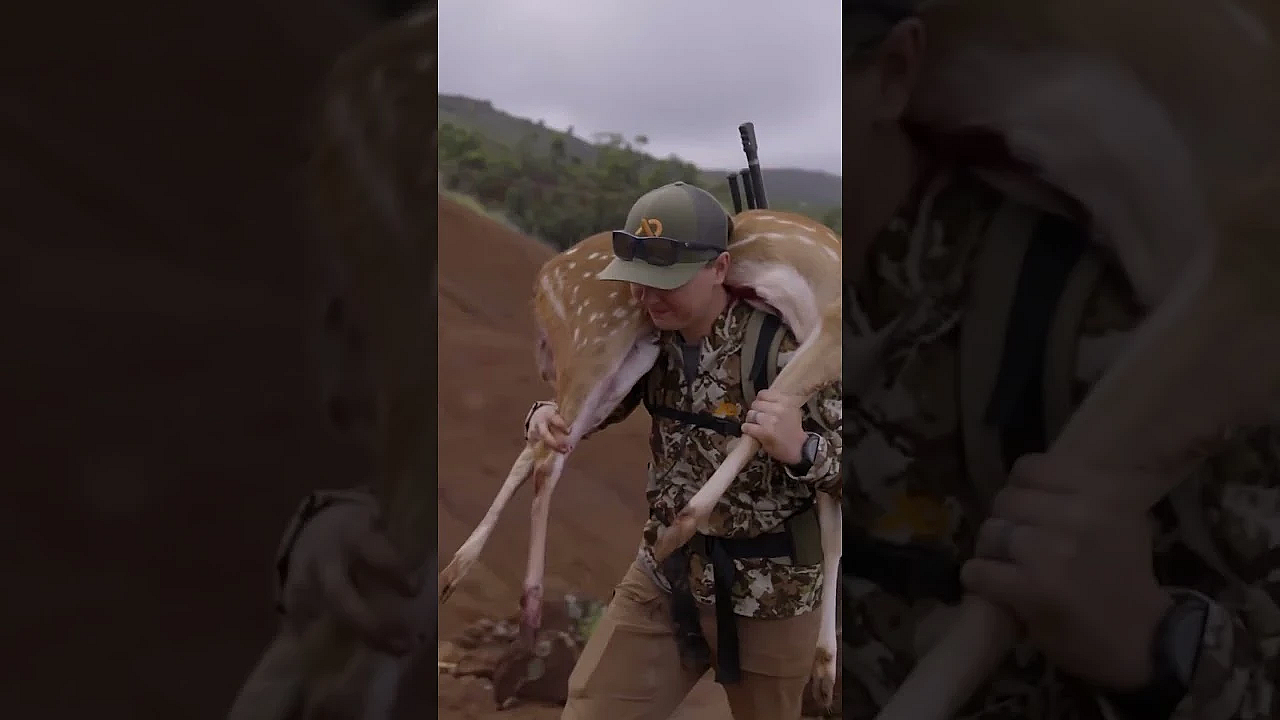 Jordan Budd’s Hawaiian Axis Deer Hunt Is Live. #fueledbynature