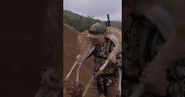 Jordan Budd’s Hawaiian Axis Deer Hunt Is Live. #fueledbynature
