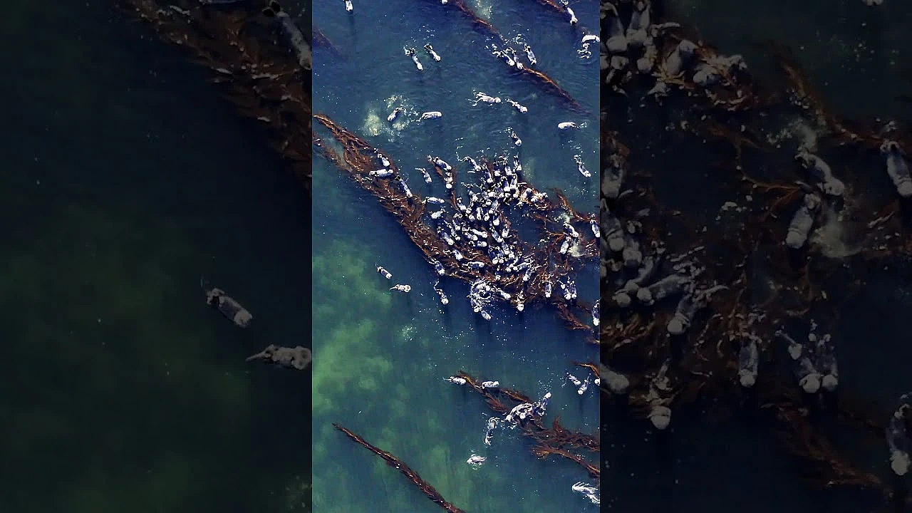 Our Way Of Life With Heather Douville Is Live. Go Check Out The First Episode Now!