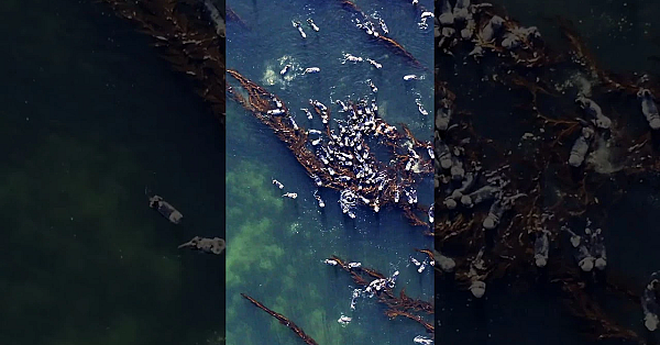 Our Way Of Life With Heather Douville Is Live. Go Check Out The First Episode Now!