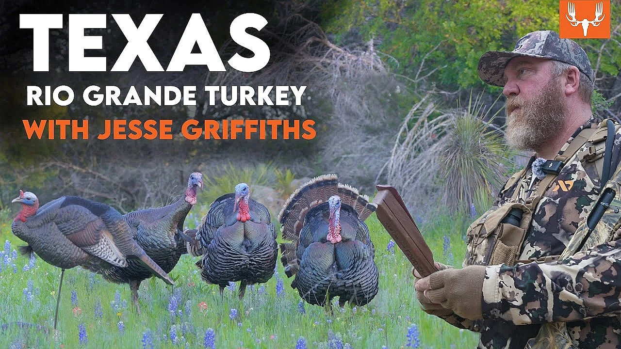 Turkey Hunting Texas-style With Jesse Griffiths