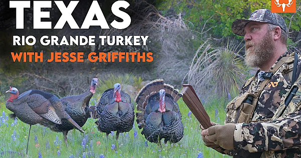 Turkey Hunting Texas-style With Jesse Griffiths