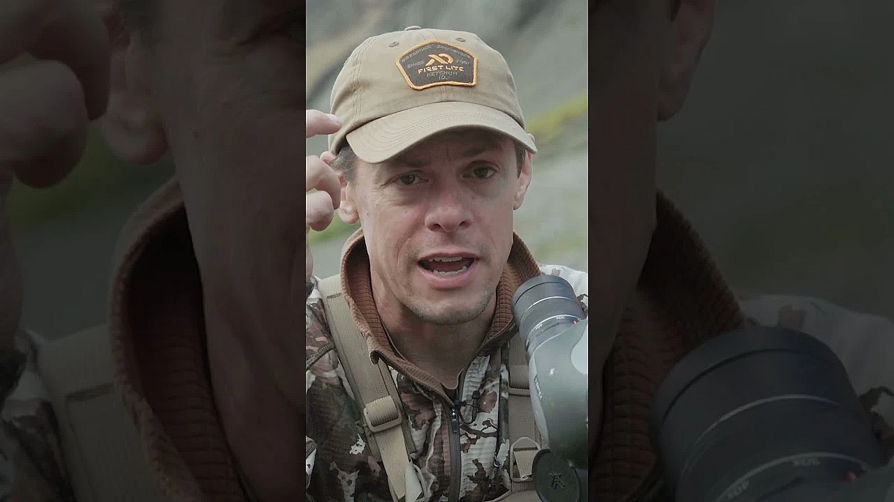 Why Are Legal Dall Sheep So Damn Hard To Find? Full Episode Of Steve And Danny's Hunt Is Live Now.