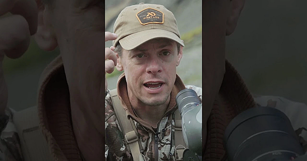 Why Are Legal Dall Sheep So Damn Hard To Find? Full Episode Of Steve And Danny's Hunt Is Live Now.