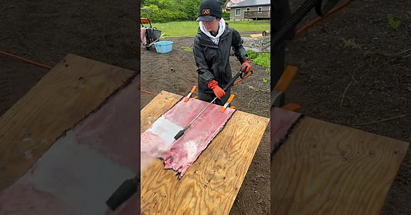 Fleshing Hides With Our Good Friend Heather Douville. This Is How It's Done Right Here.