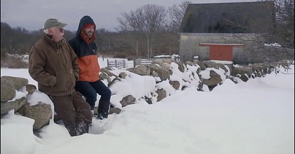 Family Life On A Farm: The Value Of Sourcing And Growing Your Own Food