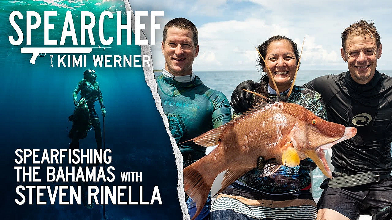 Spearfishing Bahamas With Kimi Werner, Steve Rinella