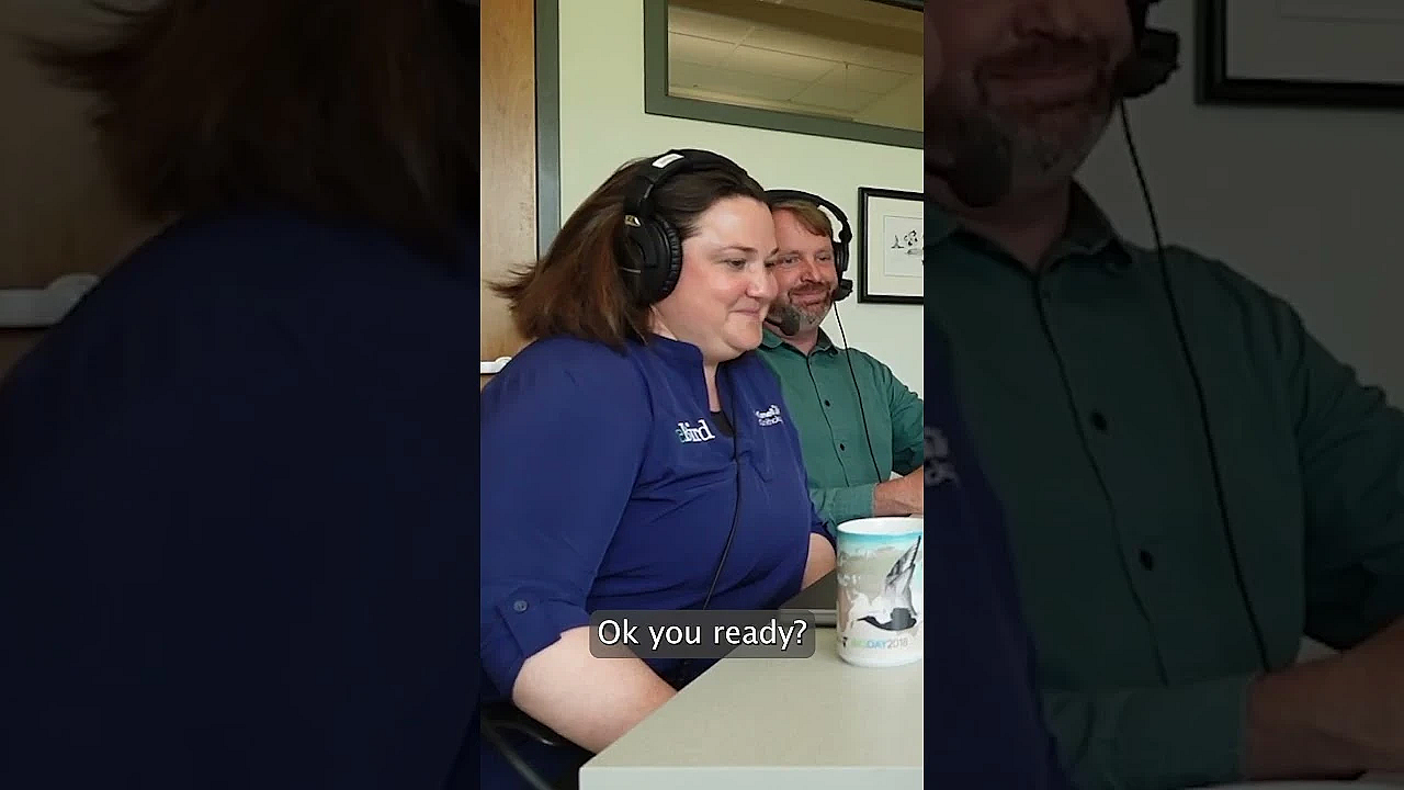 First Try, No Warmup Needed. The Creator Of The Merlin Bird App Has A Mean Barred Owl Hoot.