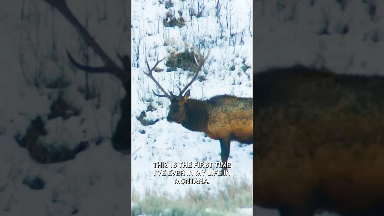 On Tomorrow’s Episode Of Meateater Steve Hunts One Of The Hardest To Draw Elk Units In The Country.