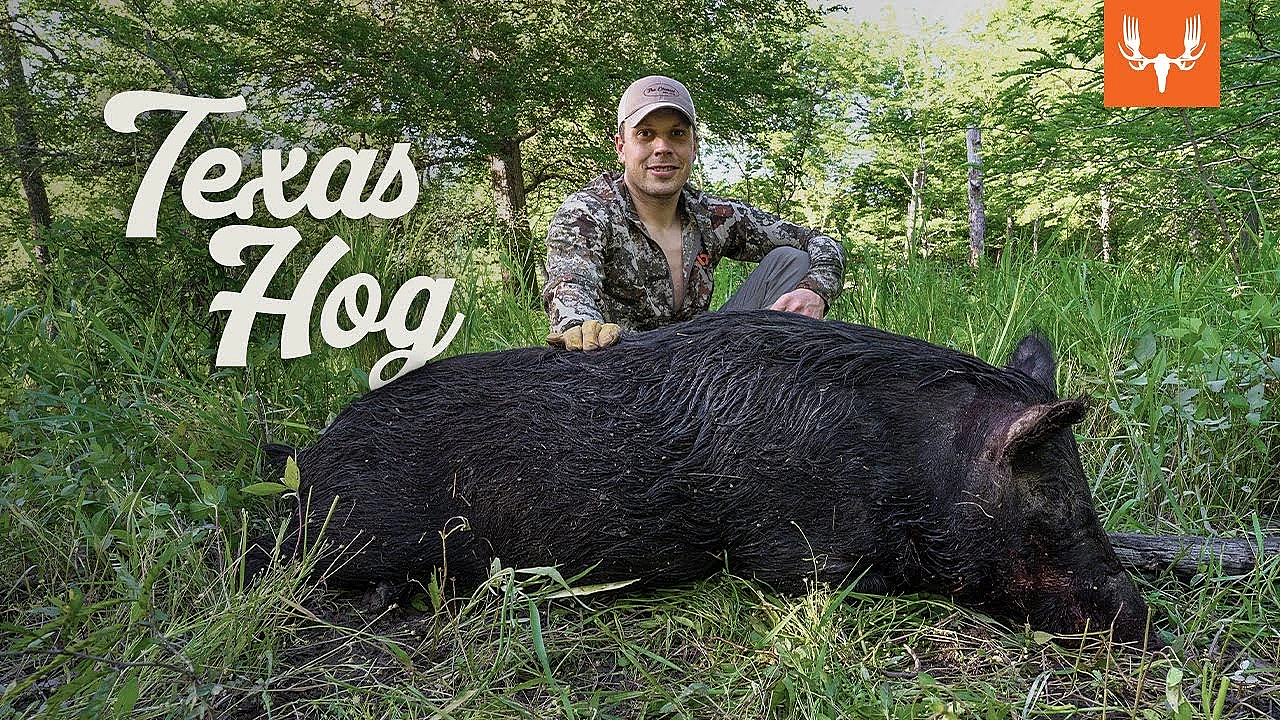 Texas Hog Hunting With Tyler And K.c.