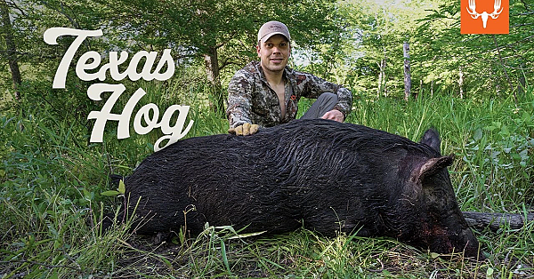 Texas Hog Hunting With Tyler And K.c.