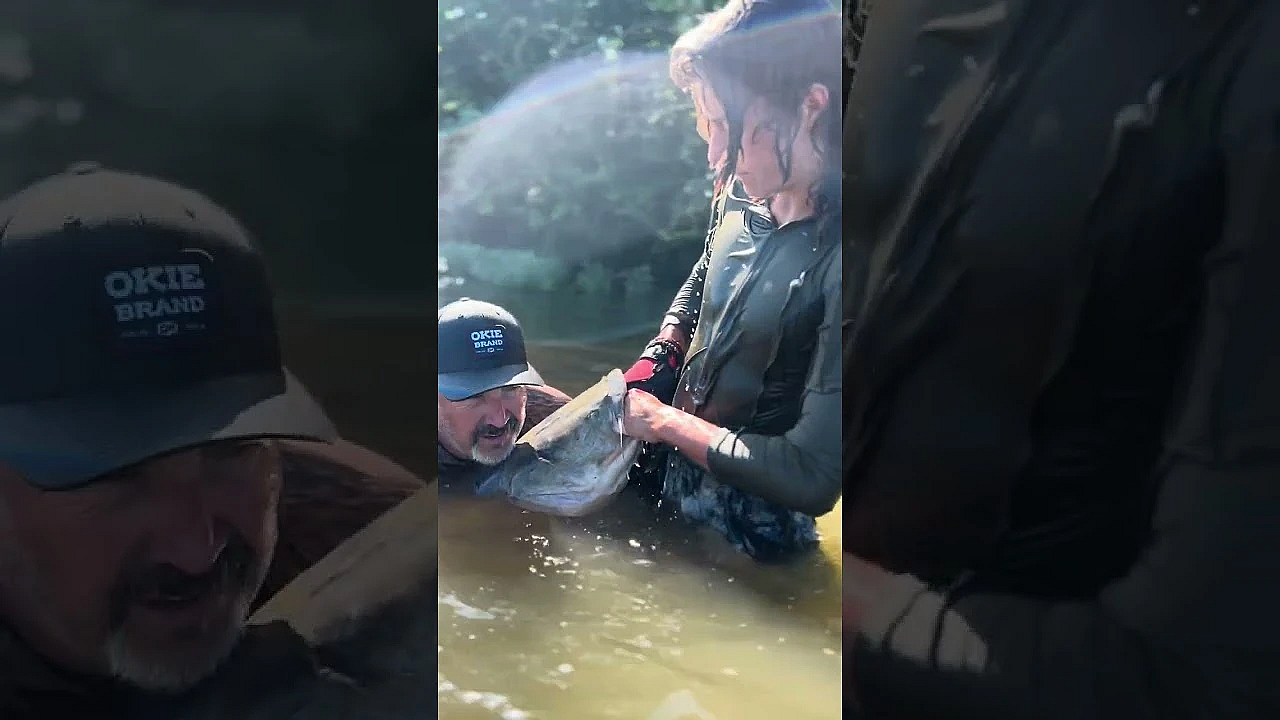 Bear Newcomb Noodling For Flat Head Catfish. This One Was About 35 Lbs. #fueledbynature