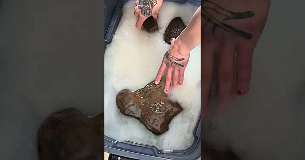 Transforming Rawhide Buckskin Into Tanned Leather With Heather Douville. #fueledbynature