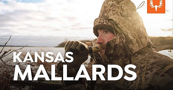 Kansas Mallards With Ryan Callaghan