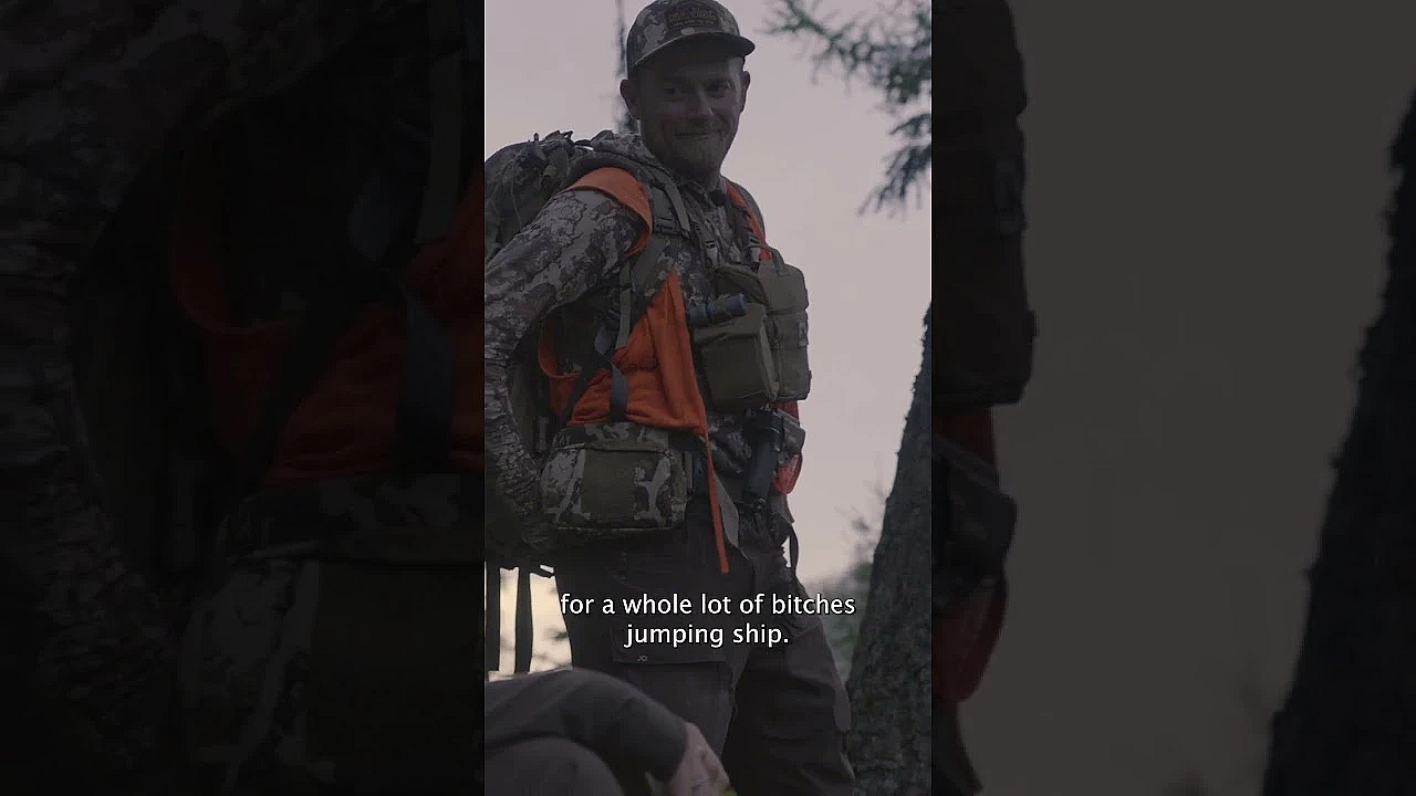 Ya Know It's Hard Out Here... When You're Trying To Find A Bear. Anyone Know This Tune?