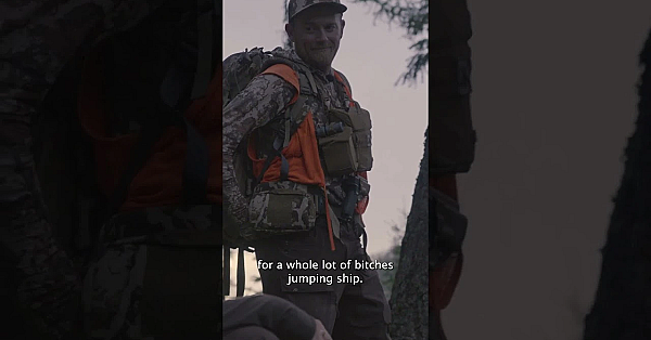 Ya Know It's Hard Out Here... When You're Trying To Find A Bear. Anyone Know This Tune?