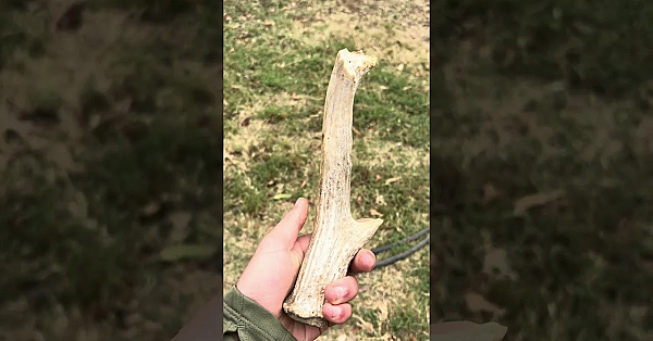 Bear Newcomb Making A Primitive Knife Using Georgetown Chert And A Deer Antler. #fueledbynature