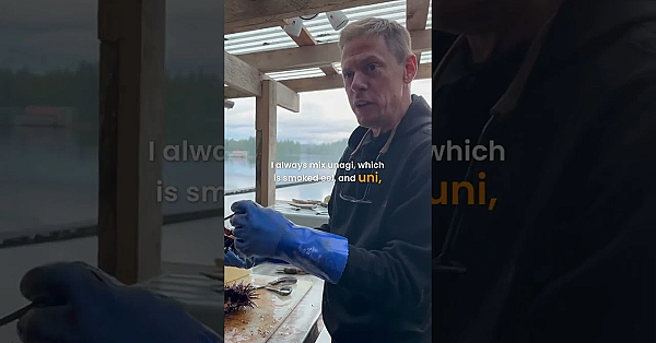 Would You Try Fresh Sea Urchin Roe If Steve Served It Up? #seafood #alaska