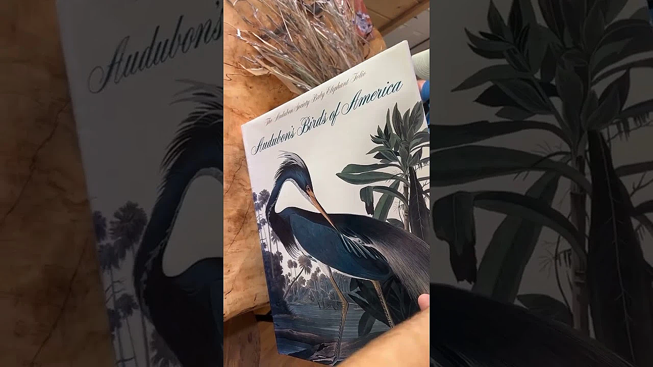 Canebrakes Were Once Common In The Southeast. Catching Them Going To Seed Is Once In A Lifetime!