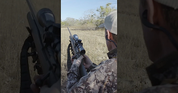 Steve Might Not Consider Himself A Great Whitetail Hunter, But He's Had A Great Time Chasing 'em.