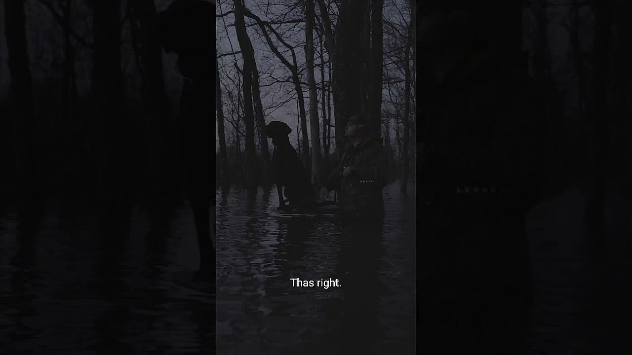 New Duck Hunting Episode With Ol' Cal Is Live! Don't Miss This Classic, Arkansas Timber Hunt.