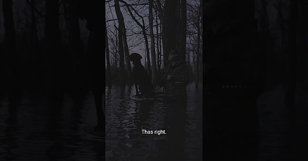 New Duck Hunting Episode With Ol' Cal Is Live! Don't Miss This Classic, Arkansas Timber Hunt.