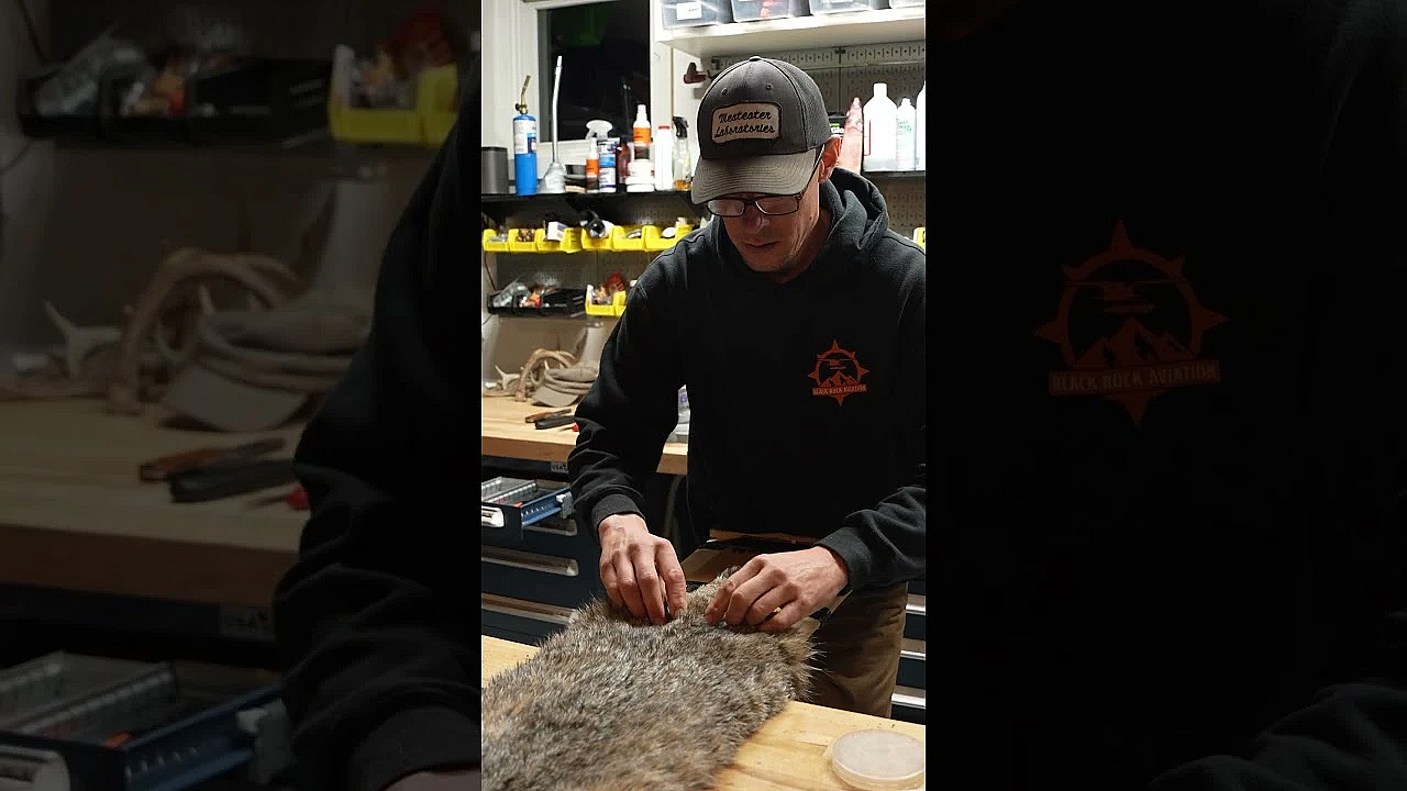 How To Flesh A Bobcat To Get Top Dollar!