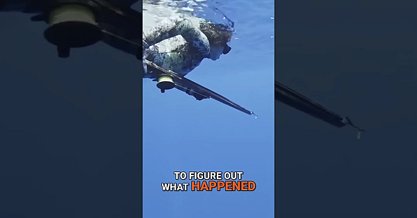 Spearing Mahi mahi off a barrel stacked with fish