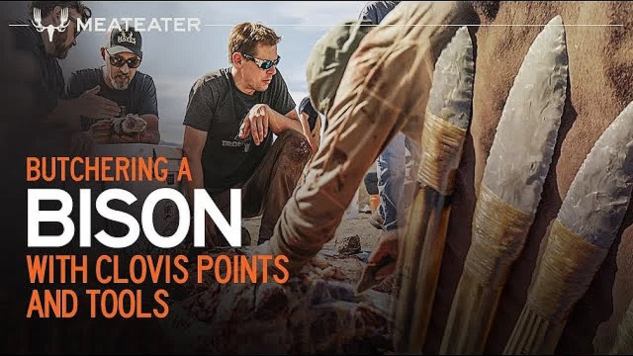 Butchering A Bison With Clovis Points And Tools