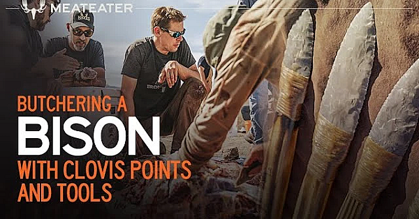 Butchering A Bison With Clovis Points And Tools