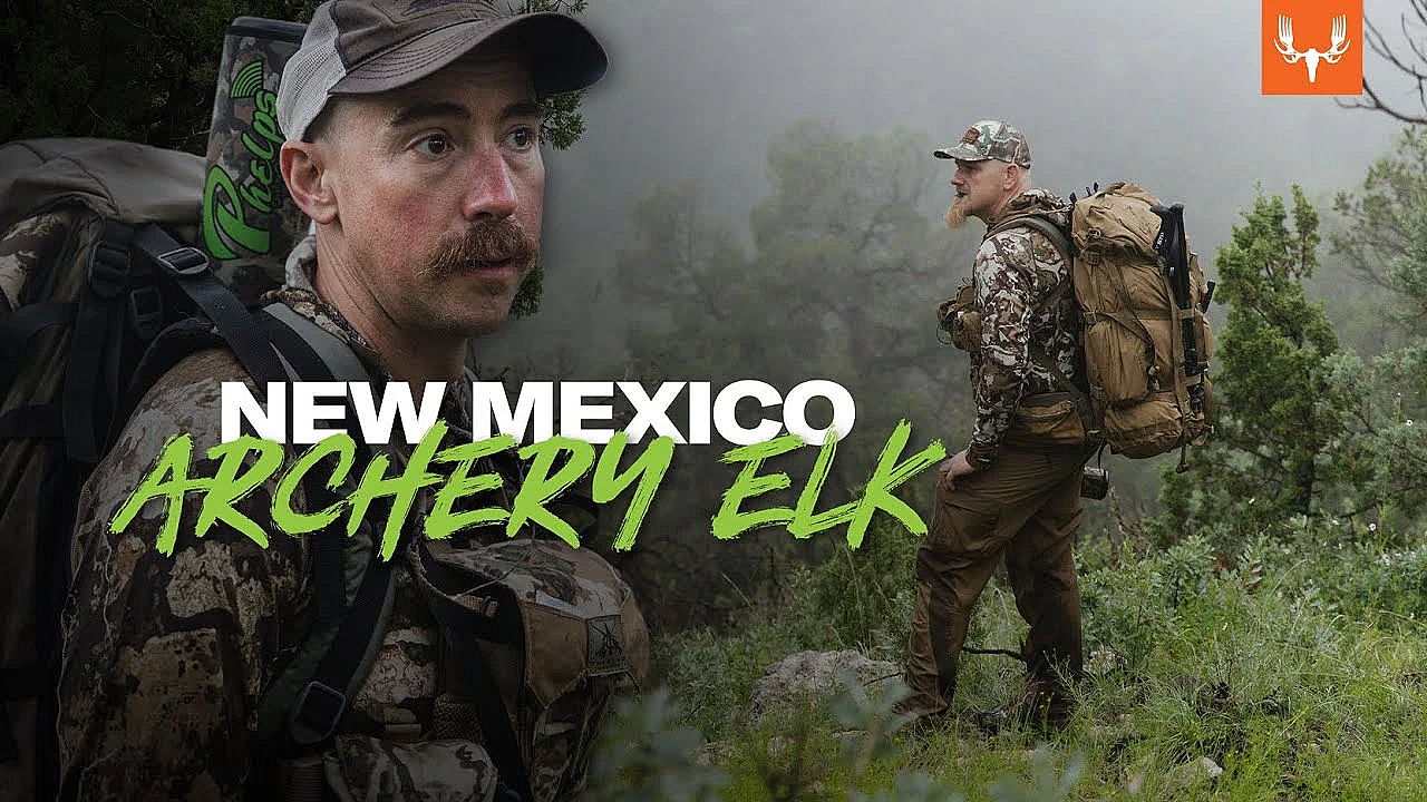New Mexico Archery Elk With Jason Phelps And Ryan Callaghan