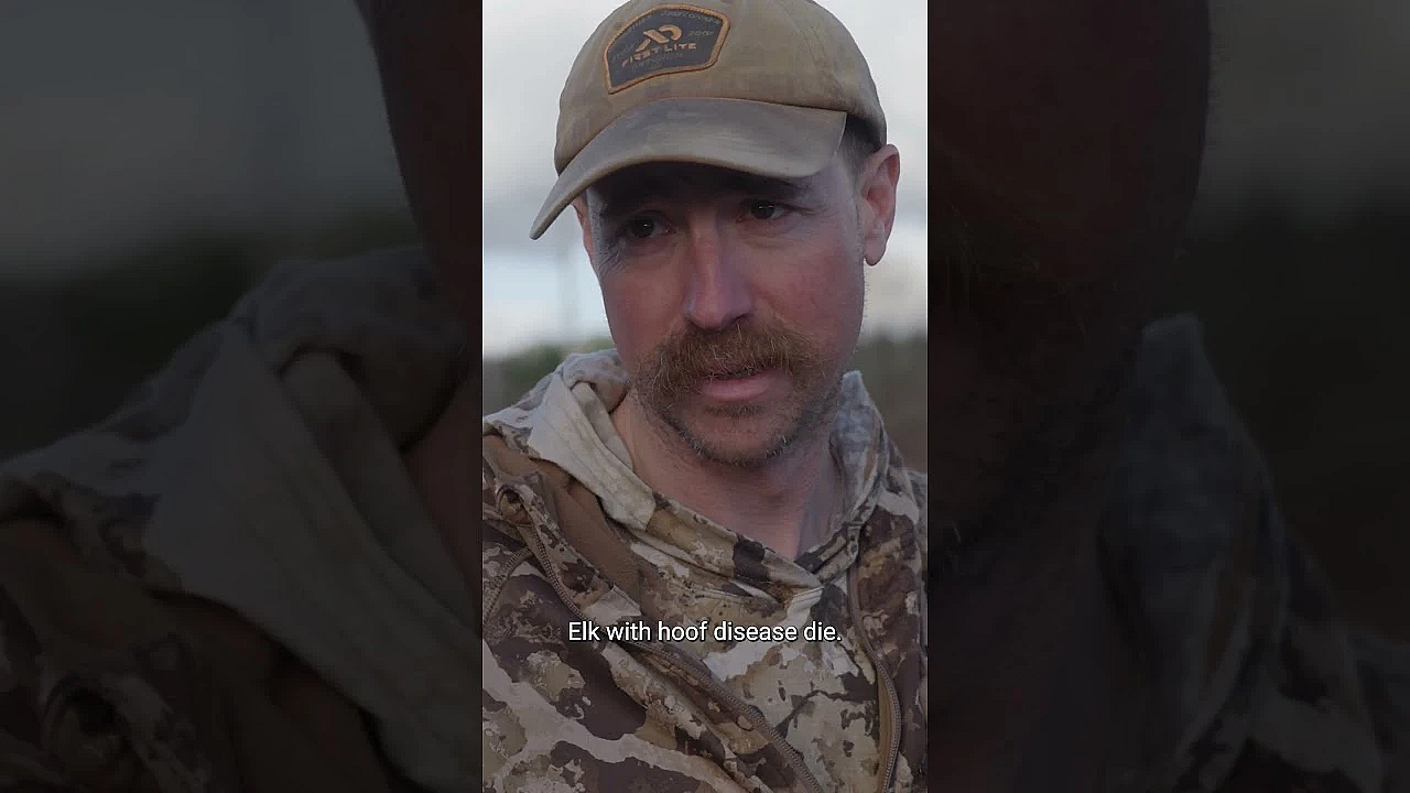 Cal And Jason Discuss The Tragic Issues Around Hoof Rot In Today's Upload Of Cal In The Field.