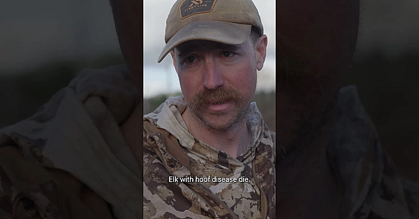 Cal And Jason Discuss The Tragic Issues Around Hoof Rot In Today's Upload Of Cal In The Field.