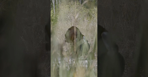 Another Episode Of Season 12 Just Went Live. This Is One Of The Wildest Places You Can Find Gobblers