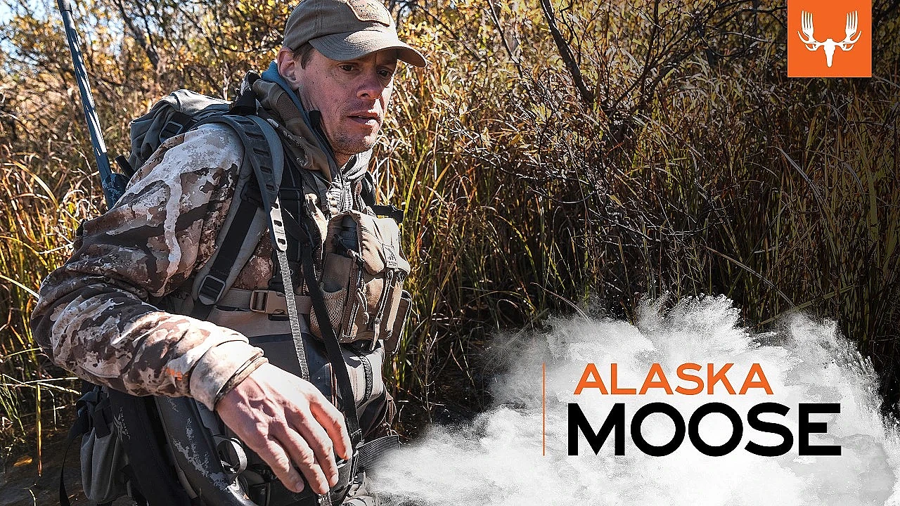 MeatEater Season 9 | Alaska Moose: The Guide Life Ep. 10