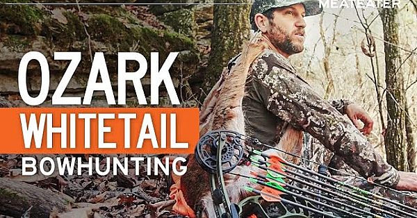 Ozark Whitetail Bowhunting