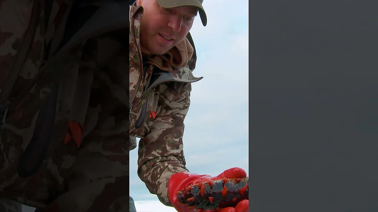 Check Out Another Classic Episode Of Meateater, Now On Our Channel.  #meateater #outdoorchef