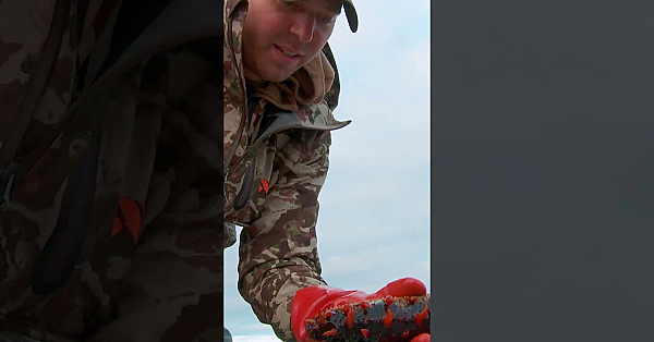 Check Out Another Classic Episode Of Meateater, Now On Our Channel.  #meateater #outdoorchef